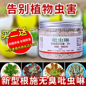 内吸施奇小白药多肉介壳虫防虫药花卉小黑飞通用杀虫剂低毒吡虫啉