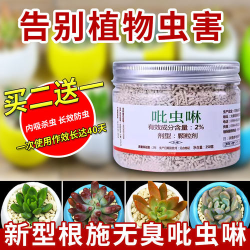 施奇白药介壳小黑通用低毒杀虫剂