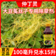 菟丝子专用除草剂黄丝藤金丝藤无根藤农药苗木绿化女贞大豆通用型