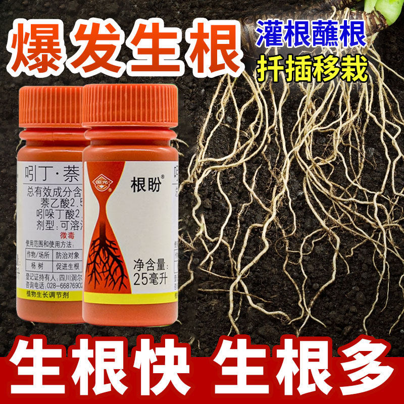 国光根盼吲哚丁酸萘乙酸植物生根剂扦插移栽苗木花卉爆发式生根液