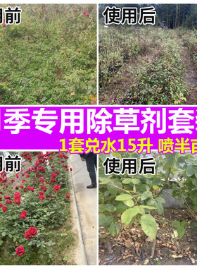 月季专用杂草除草剂除尖叶阔叶