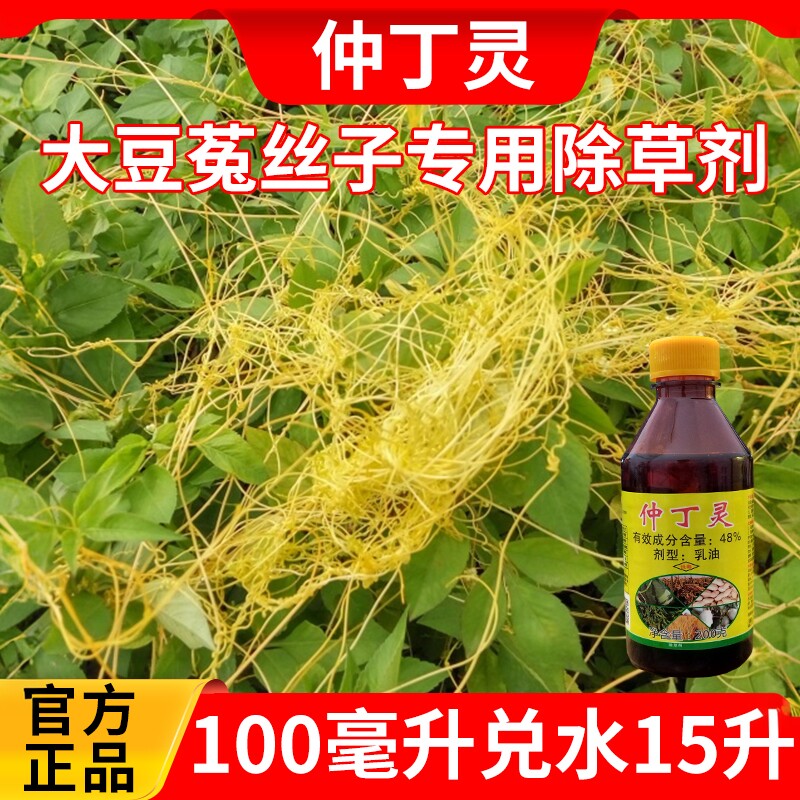 菟丝子专用除草剂黄丝藤金丝藤无根藤农药苗木绿化女贞大豆通用型