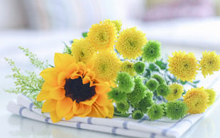 0.01一分钱壁纸0.01元秒发秒评养号自动发货手机图片高清桌面壁纸