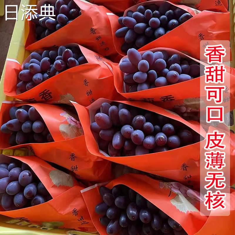 云南茉莉香葡萄新鲜采摘着色香玫瑰香味甜好吃孕妇儿童当季水果茶