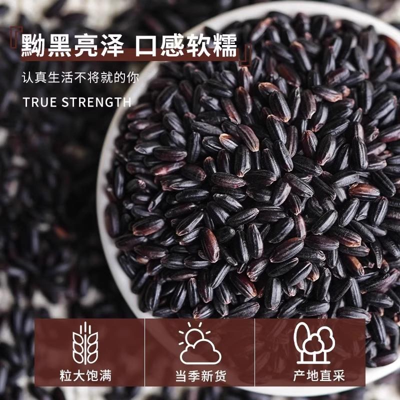 东北正宗血糯米黑糯米紫糯米粘黏新米包粽子饭团奶茶店用五谷杂粮