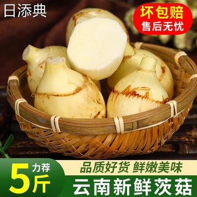 云南新鲜白慈姑茨菰菇马