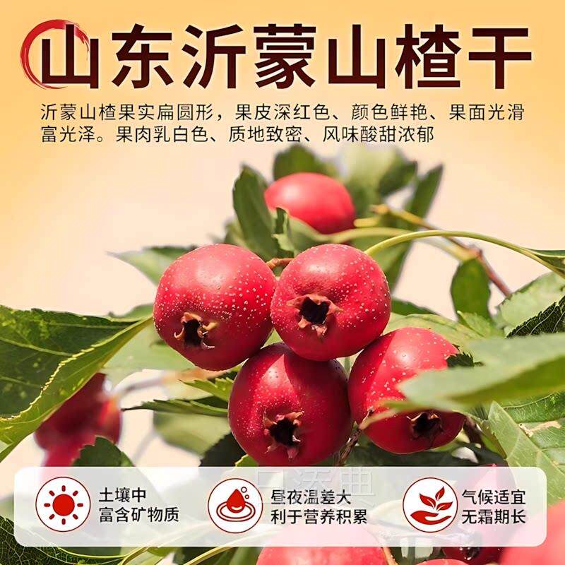 蓝莓桑葚山楂片山楂糕健酸甜消食儿童孕妇零食鲜果现制山楂旗舰店