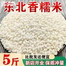 新米东北圆糯米10斤新鲜优质香白江米糯米粽子 23东北糯米江米当季