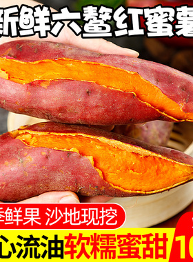 六鳌蜜薯沙地现挖新鲜红薯10斤烤番薯红心地瓜香小烟板栗红著蔬菜