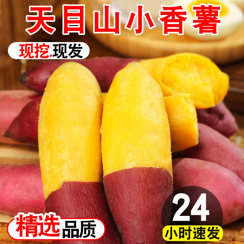 临安天目山小香薯正宗板栗红薯新鲜农家自种手指番薯地瓜蜜薯5斤