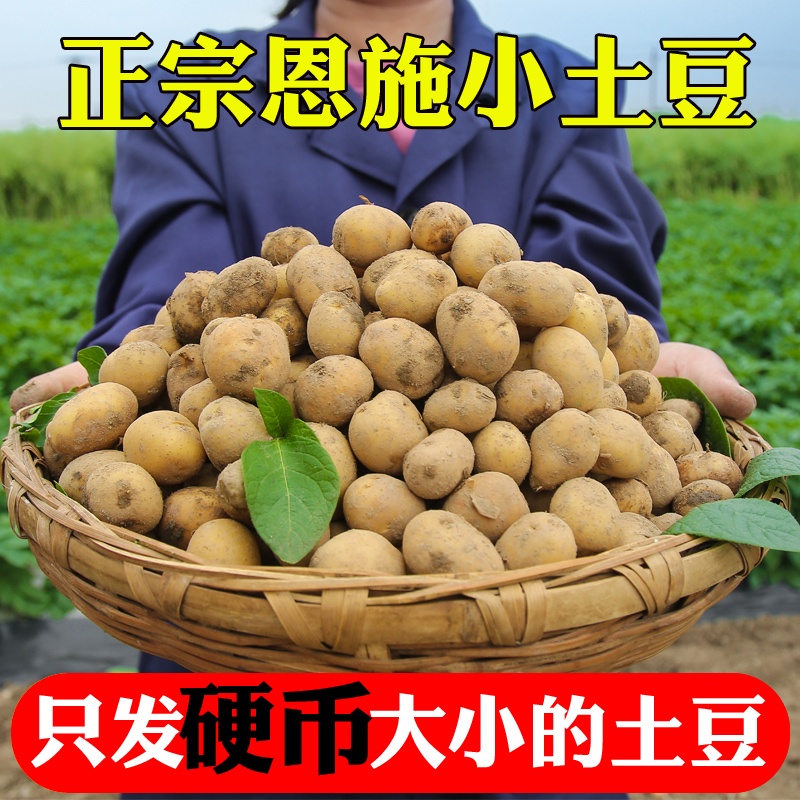 「硬币小土豆」品质好货推荐