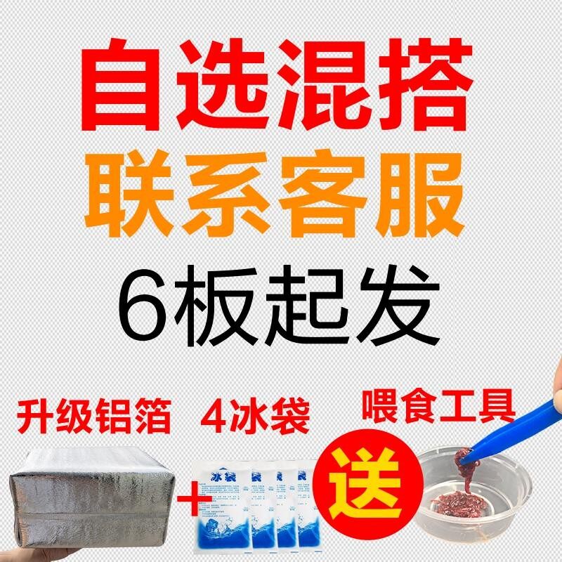 。冰冻冷冻红虫血线虫牛心汉堡丰年虾干鹦鹉罗汉七彩龙鱼食饲|ruв категории животное/Животное питание и принадлежностей, аквариум мира, декоративные рыбы кормов - от Buy2taobao.com для оказания профессиональной услуги покупки агента Taobao