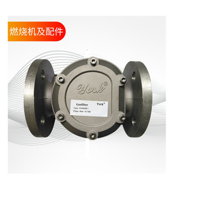 YORK燃气过滤器天然气管道法兰滤清器FG4040 50 65 80 100FG40125