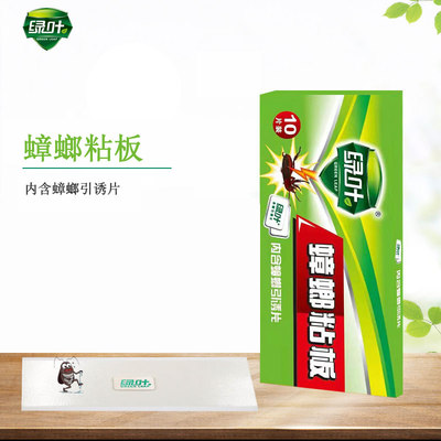 绿叶蟑螂粘板蟑螂贴含引诱剂室内粘小强贴灭除杀蟑蟑螂GL02130