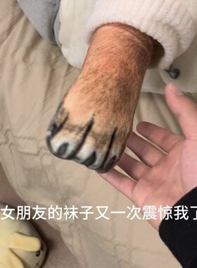 【到底谁是狗】动物仿真3D狗爪袜子大学生整蛊恶搞宠物印花中筒袜