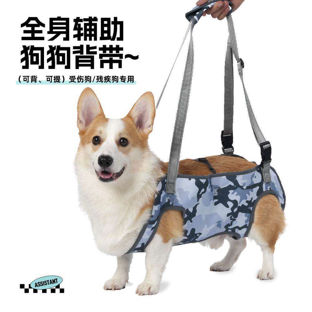 亚马逊新款宠物辅助带老年