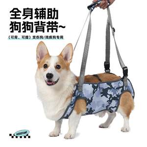 亚马逊新款宠物辅助带老年