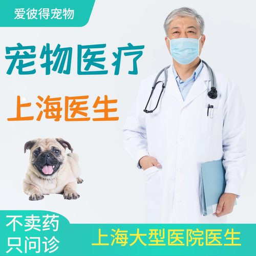 爱彼得宠物医生问诊在线咨询狗猫生病兽医线上医院犬猫主治问诊