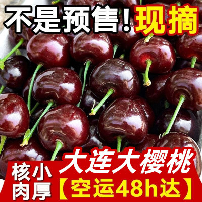 大连樱桃新鲜水果车厘子现货大樱桃脆甜包邮现摘现发应季当季水果