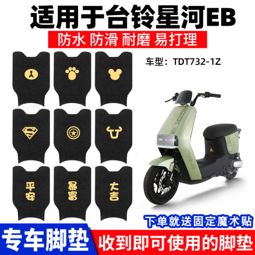 台铃星河EB脚垫电动电瓶车K-E