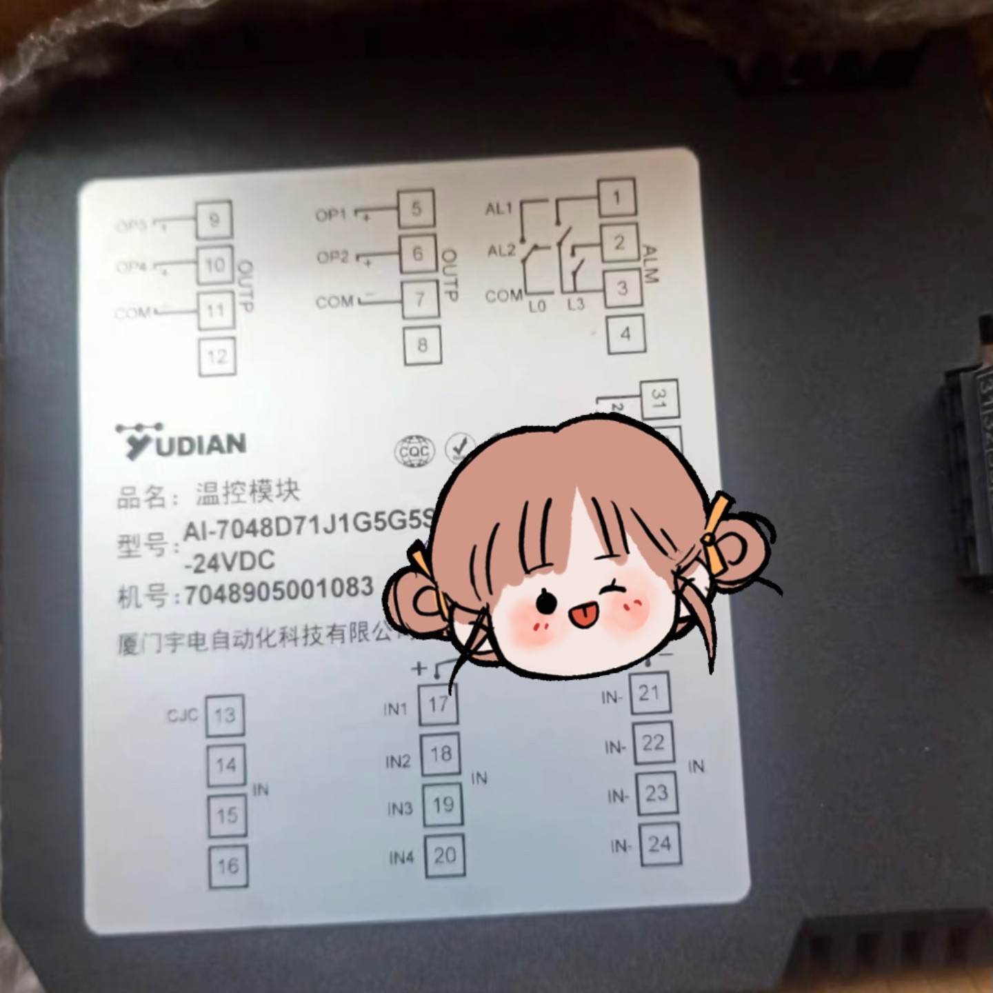 售前询价原装 正品 宇电数显温控模块  AI-7048D71J1G5G5S