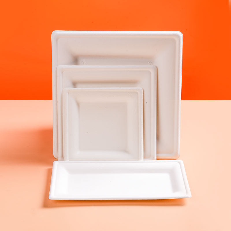 8寸加厚方形纸盘一次性环保餐具可降解画画手工方盘野餐烧烤包邮