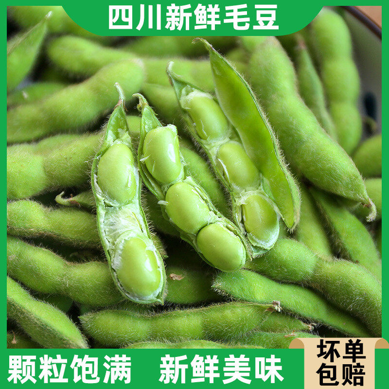 四川新鲜毛豆农家蔬菜5斤现摘新鲜毛豆荚带壳青豆绿豆荚大豆
