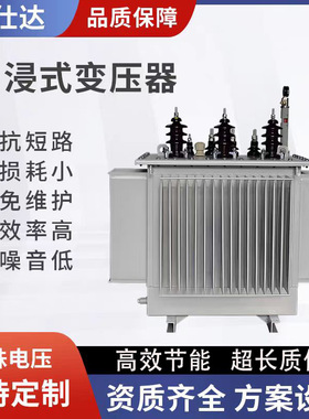 s20s13高压10KV电力油浸式变压器千瓦100/250/315/400/500/630KVA