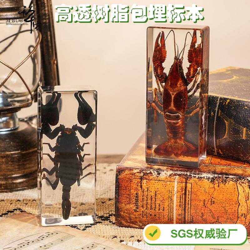 真实树脂昆虫标本真虫甲虫蜘蛛锹甲天牛蝎子蜈蚣螃蟹螳螂标本摆件