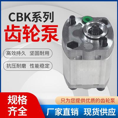 CBK齿轮泵微型高压油泵CBK-F1.1/1.6/2.1/3.2/4.2*4.8升降机油泵