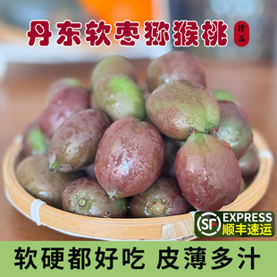 1斤顺丰包邮丹东软枣猕猴桃新鲜软枣子圆枣子