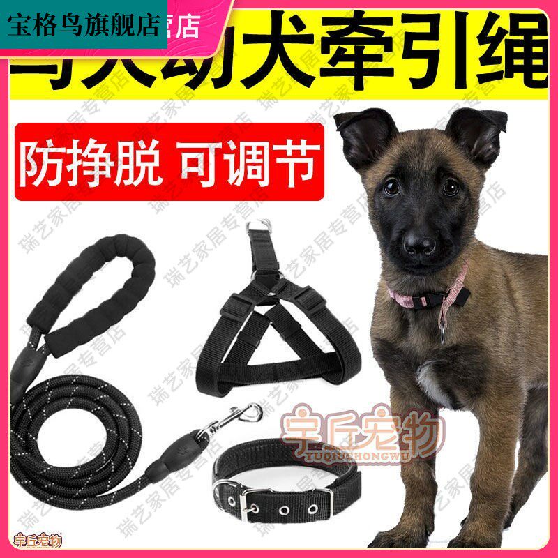 马犬幼犬专用牵引绳狗链小马犬大型犬背心式项圈外出遛狗可调节