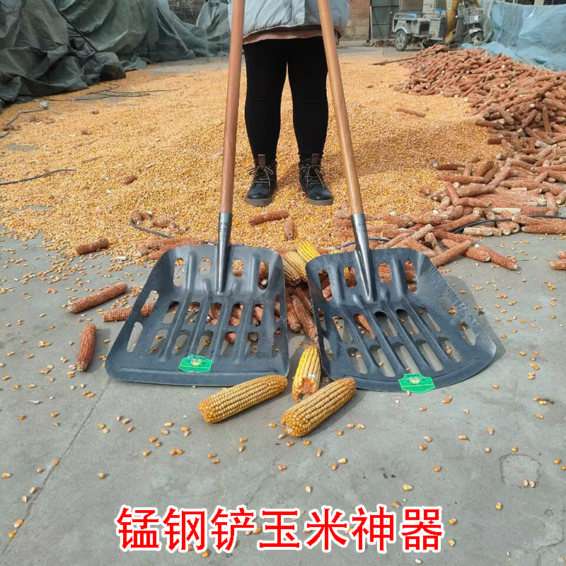 玉米专用铲子锰钢铁锹铲玉米骨头