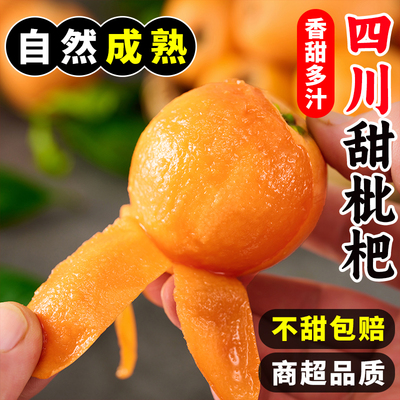 枇杷新鲜现摘四川米易大枇杷