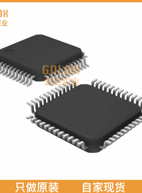 【 全新原装现货 】 N681387DG IC CODEC DUAL PROGR 48LQFP