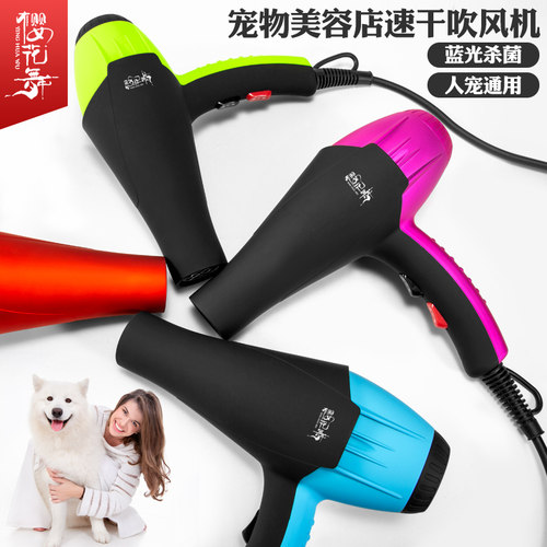 宠物吹风机大功率泰迪速干洗澡