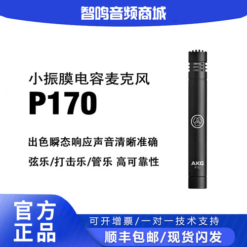 AKG爱科技P170小振膜乐器麦克风