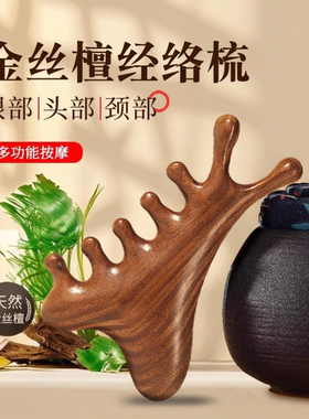 檀木4合1头皮按摩梳头疗眼脸通用