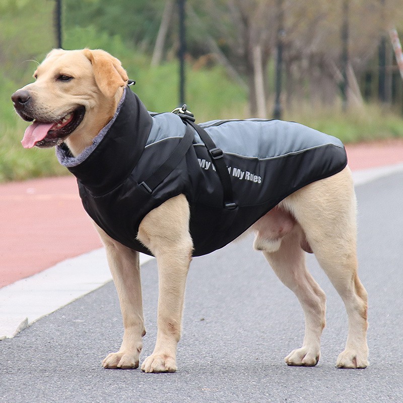 狗衣服秋冬款金毛拉布拉多柯基羽绒棉服中大型犬冬季宠物保暖马甲
