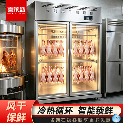 喜莱盛风干展示柜风冷餐饮烧腊店鸭鹅保鲜冷藏解冻大型风干晾胚柜