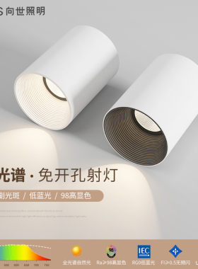向世照明装LED筒灯过道玄关免吊顶无主灯洗墙高显色COB防眩光射灯