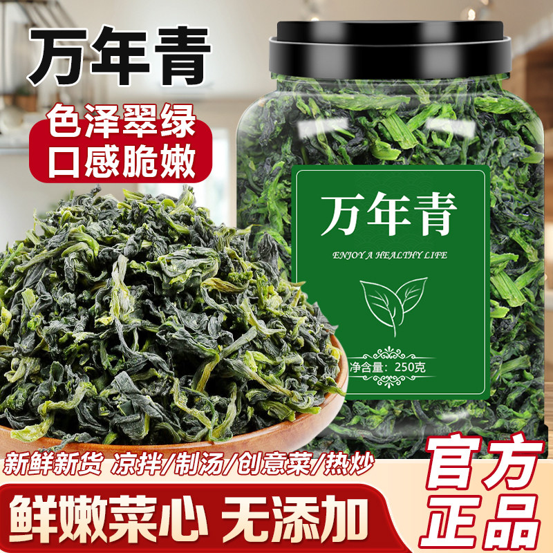万年青菜干鲜嫩菜芯农家自晒