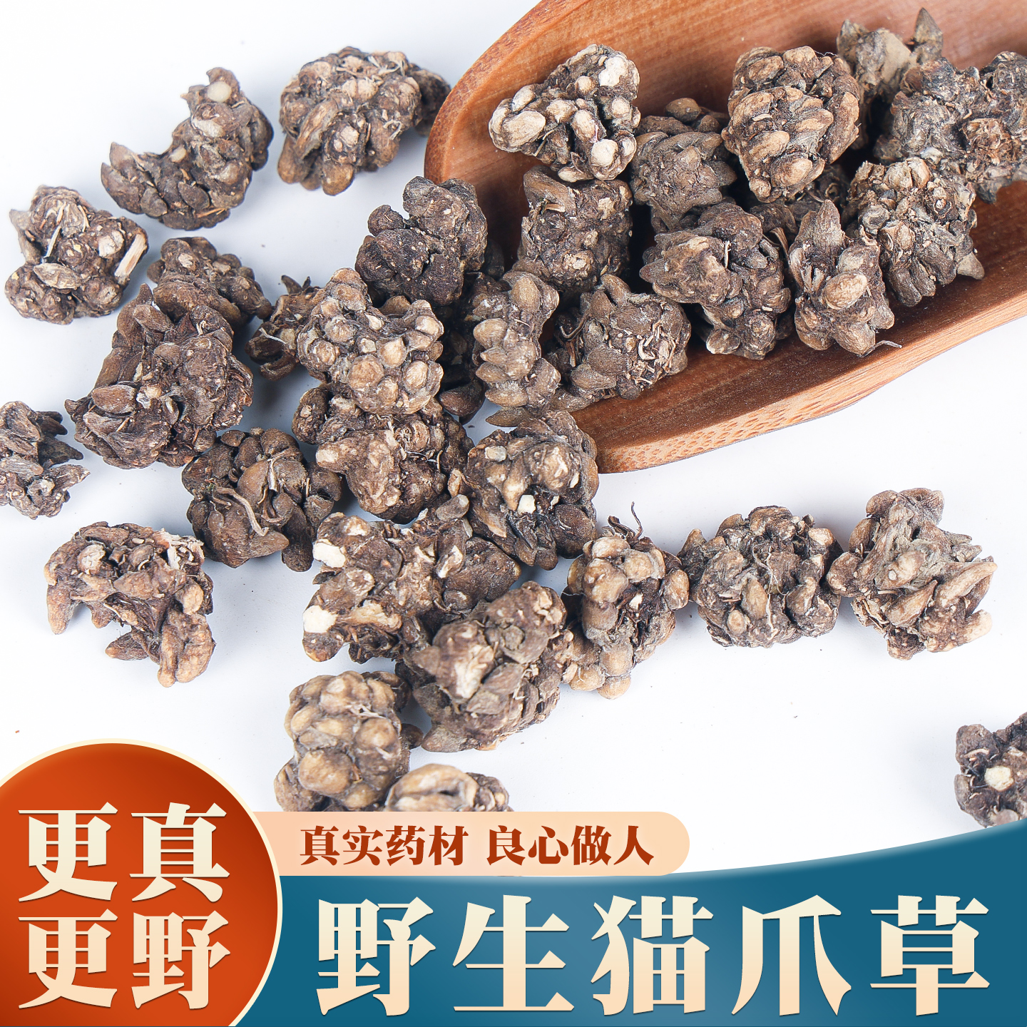 野生猫爪草正品官方旗舰店水洗猫抓草中草药材郁金蒲公英