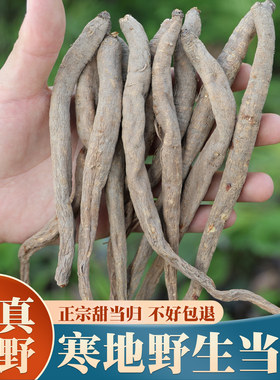 正宗野生甜当归500克特级中药材