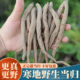 野生甜当归500g克干货特级中药材正品 整根藏当归土当归非岷县当归