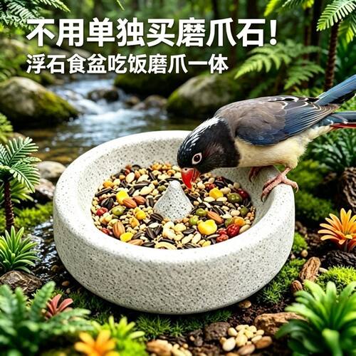 浮石一体防翻鹦鹉喂食碗通用