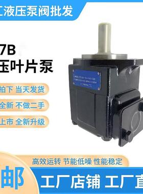 新款T67B B04 1R02 A1M0 VC00叶片泵T6CT6DT6E液压定量泵工程包邮