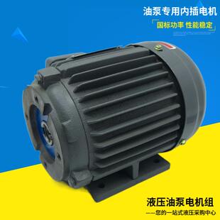 新款3-PHASE液压内轴 油泵电机3.75 5.5 7.5 11KW-PV2R1 AR16包邮