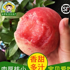 平谷大桃水蜜桃5斤包邮北京桃子新鲜水果现货谷哥家脆硬甜油桃子
