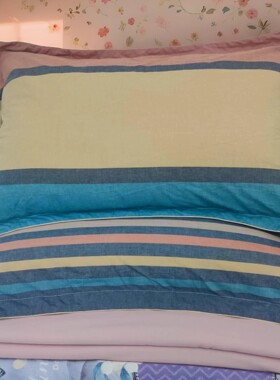 定制水洗棉纯棉枕套单人全棉大号枕头套48x74cm学生40*60cm枕芯套